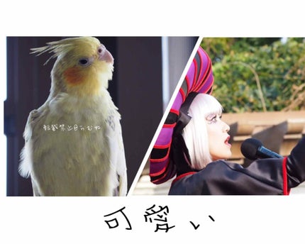 自己紹介/雑談/その他を使ったクチコミ(2枚目)