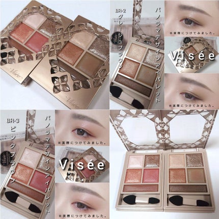 パノラマデザイン アイパレット/Visée/アイシャドウパレットを使ったクチコミ(9枚目)