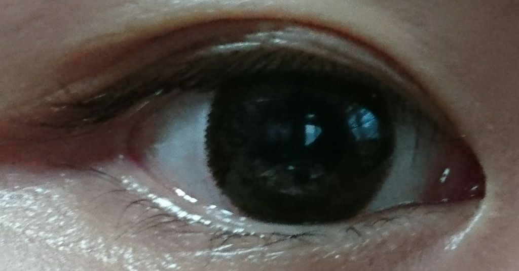 ブロウラッシュEX ボリュームラッシュファイバー SV ブラック/ブロウラッシュ/マスカラを使ったクチコミ(2枚目)