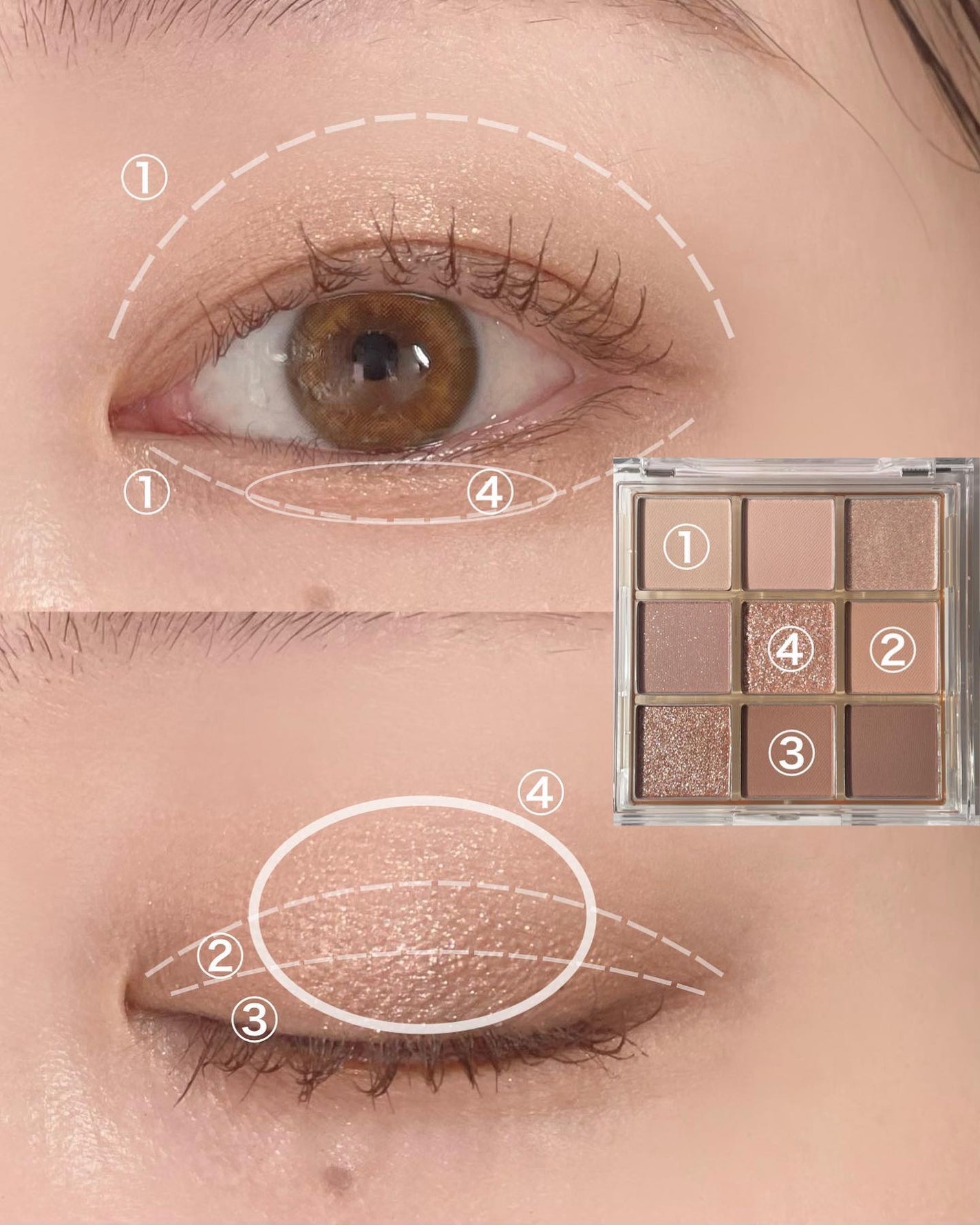 KEYBO FALL IN LOVE SHADOW PALETTE/keybo/アイシャドウパレットを使ったクチコミ(3枚目)