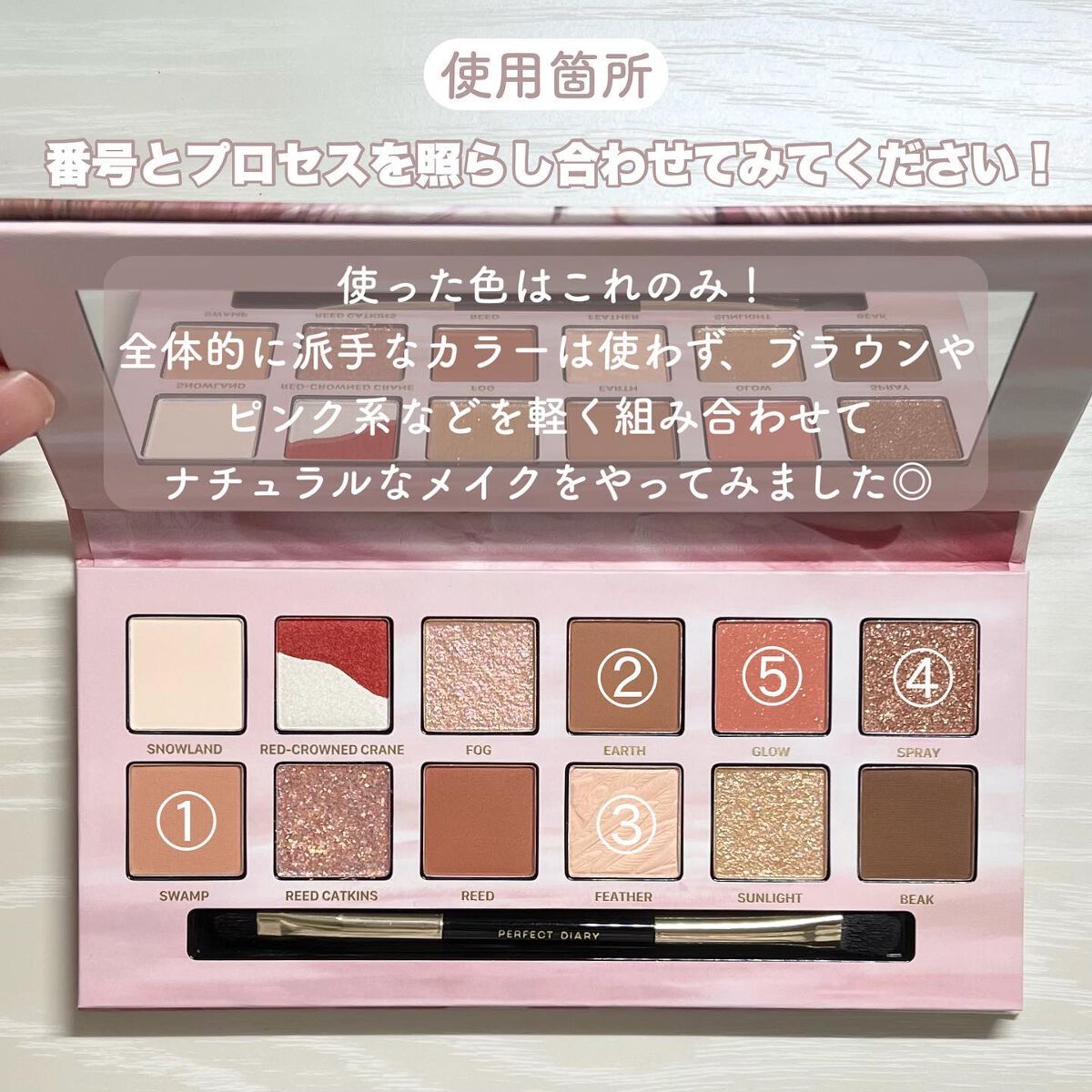 エクスプローラ12色 動物アイシャドウパレット/PERFECT DIARY/アイシャドウパレットを使ったクチコミ(3枚目)