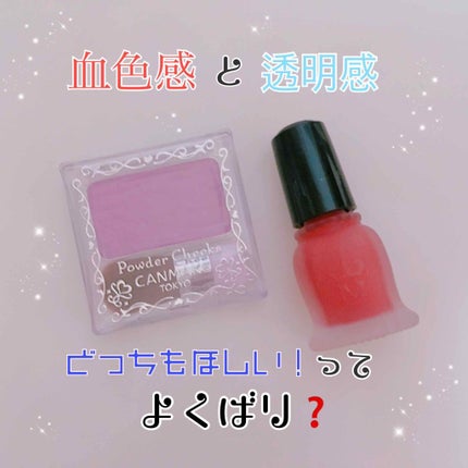 【旧品】パウダーチークス/キャンメイク/パウダーチークを使ったクチコミ(1枚目)