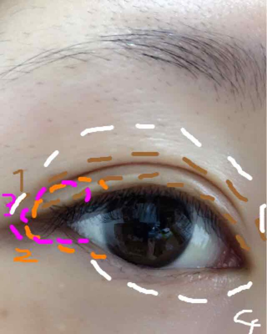 グラムグロー アイズ/Visée/アイシャドウパレットを使ったクチコミ(2枚目)