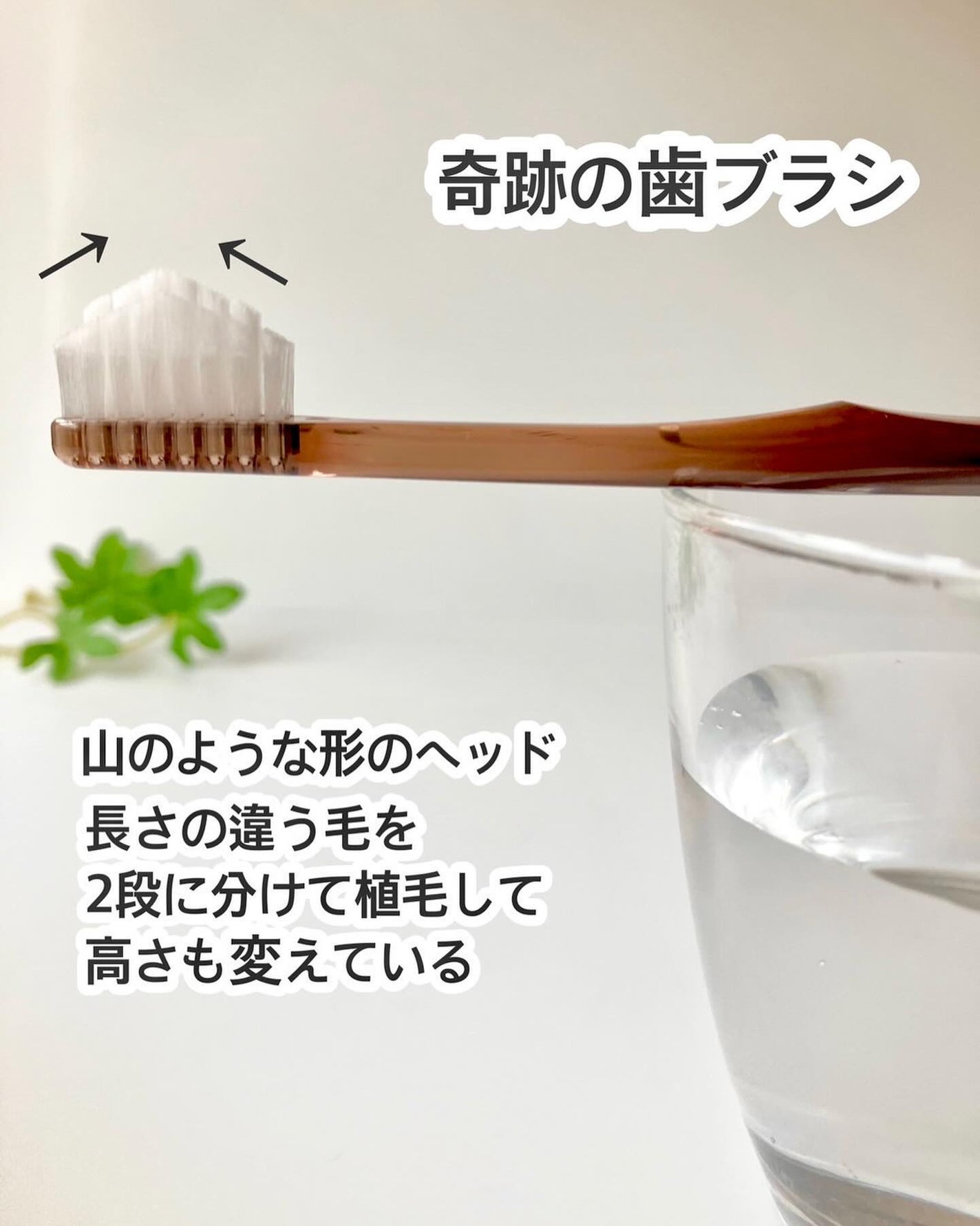 HaRENO/TOOTHPASTE 薬用ハミガキ/HaRENO/歯磨き粉を使ったクチコミ(4枚目)