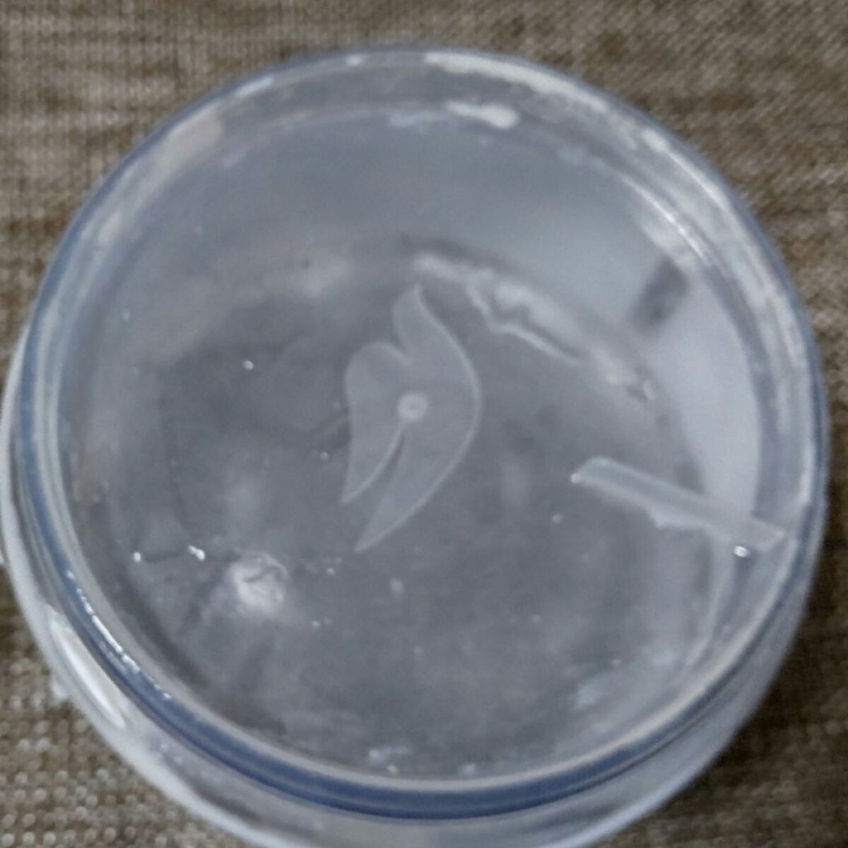 ダヴ ふわとろ　クリーミースクラブ キウイ＆アロエ/ダヴ/ボディスクラブを使ったクチコミ（3枚目）