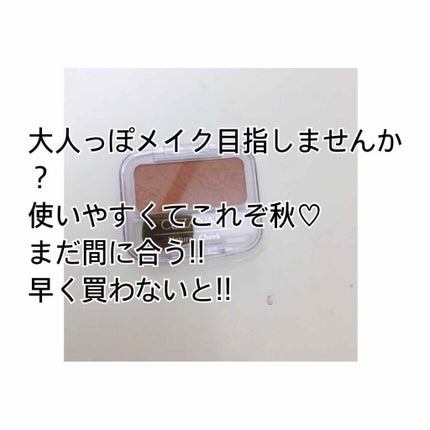ナチュラル チークN/CEZANNE/パウダーチークを使ったクチコミ(1枚目)
