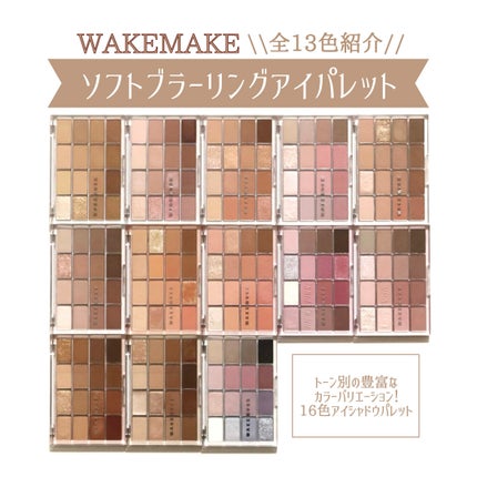 ソフトブラーリングアイパレット/wakemake/アイシャドウパレットを使ったクチコミ(1枚目)