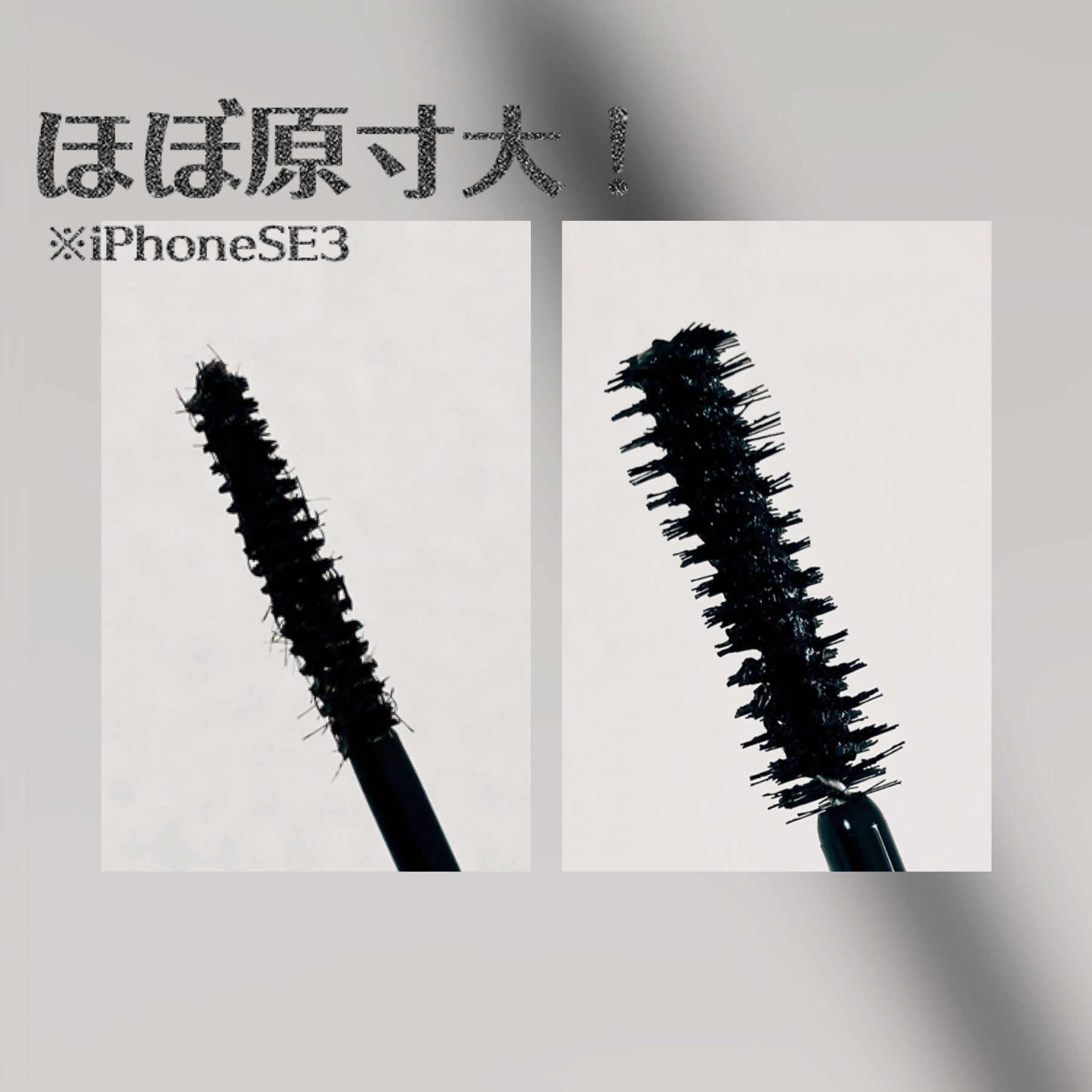 パーマネントカール フィクサー WP/FASIO/マスカラ下地を使ったクチコミ（2枚目）