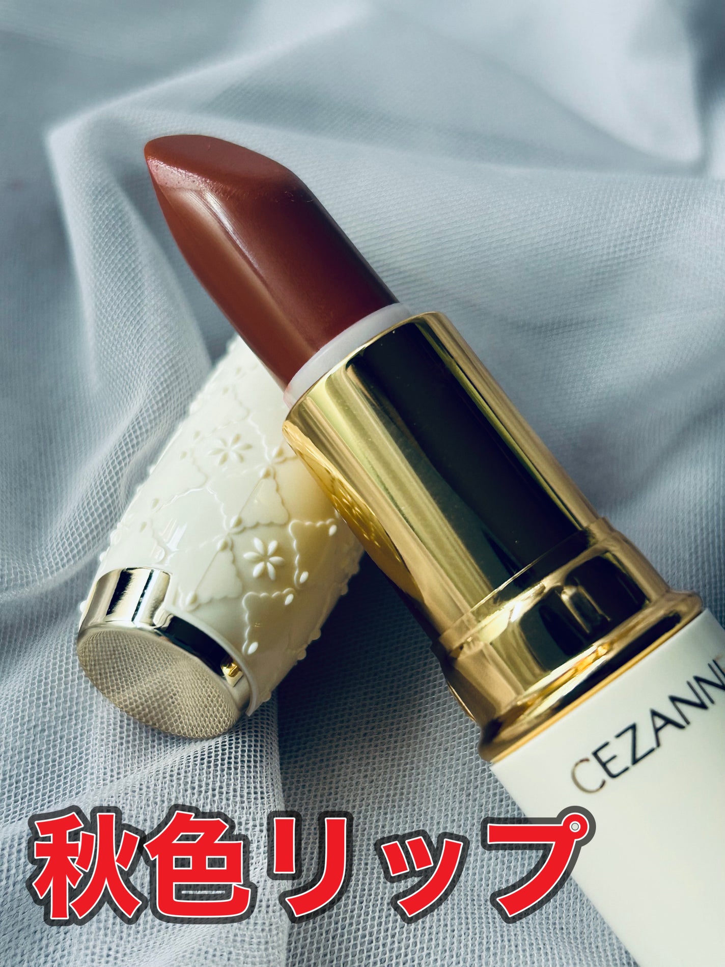 ラスティング リップカラーN/CEZANNE/口紅を使ったクチコミ(1枚目)