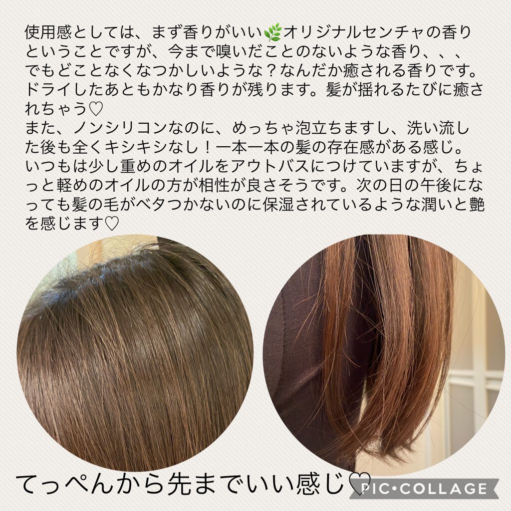 ボタアンド ザ シャンプー <sencha>/クオリティファースト/市販シャンプーを使ったクチコミ（3枚目）