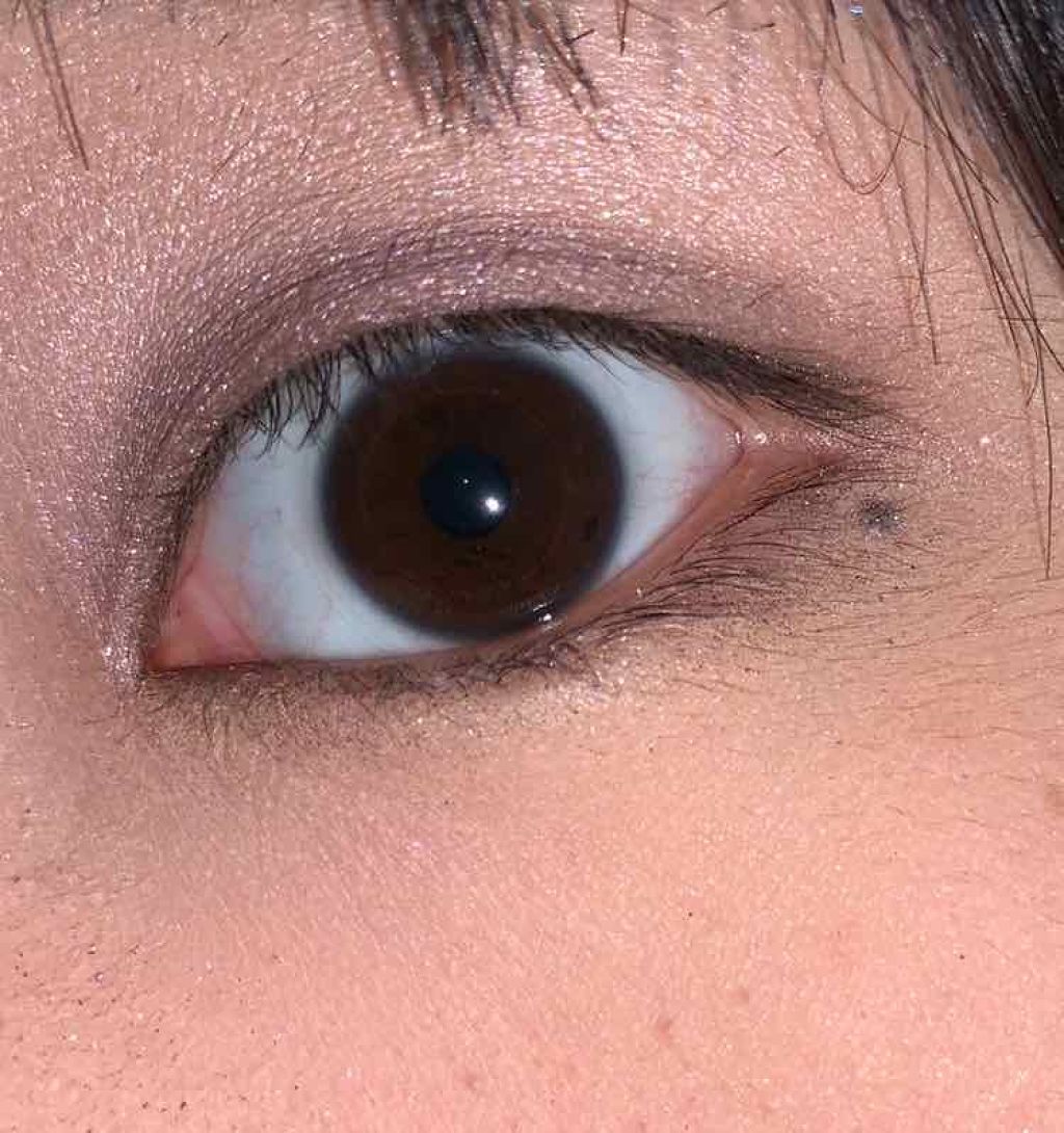 グロッシーリッチ アイズ/Visée/アイシャドウパレットを使ったクチコミ(2枚目)