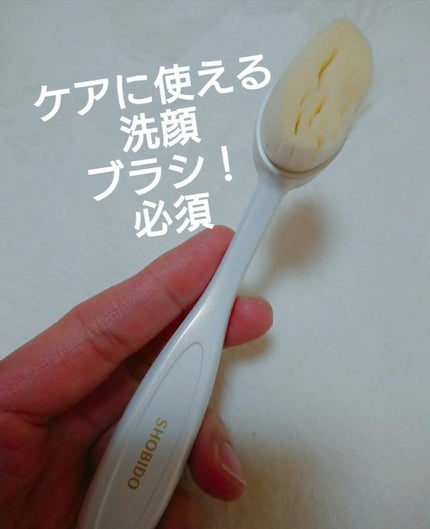 リッチホイップブラシ コンパクトヘッド/PROVENCE/その他スキンケアグッズを使ったクチコミ(1枚目)