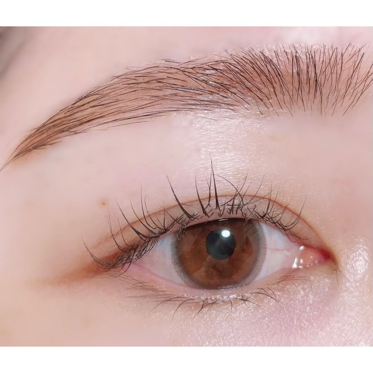 マルチセブンカラーアイパレット/MYUNT/アイシャドウパレットを使ったクチコミ(5枚目)