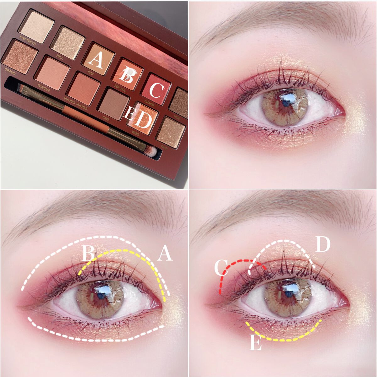 エクスプローラ12色 動物アイシャドウパレット/PERFECT DIARY/アイシャドウパレットを使ったクチコミ（2枚目）