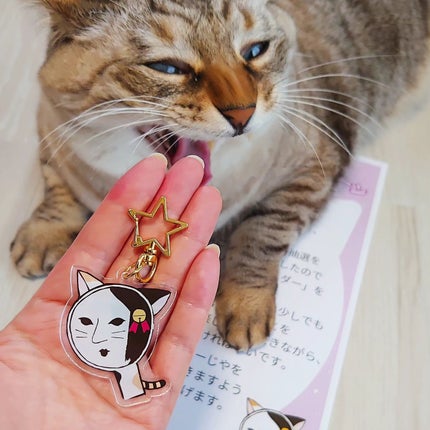 mica フォロバします😊 on LIPS 「よーじやさんからいただきました😺#猫の日よじにゃキャンペーンで..」(1枚目)