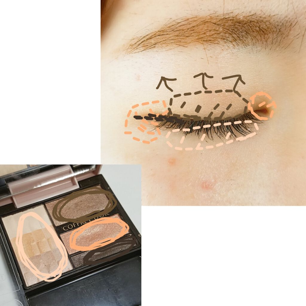 ヌーディインプレッションアイズ 01 コーラルブラウン/コフレドール/アイシャドウパレットを使ったクチコミ（3枚目）