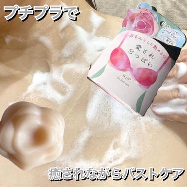 バストは優しく洗う🌷


株式会社ペリカン石鹸

【愛されおっぱい】

　660円（税込）


　ボディソープで、全身洗っていましたがバストを洗うために考えられている固形ソープ

　ブラで締め付けられて