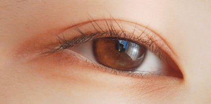 パーフェクトマルチアイズ/キャンメイク/アイシャドウパレットを使ったクチコミ(3枚目)