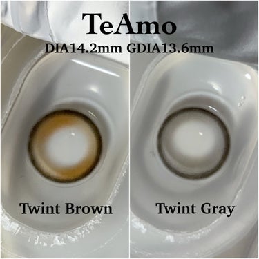 TeAmo TeAmo 1monthのクチコミ「TeAmo 1month
Twint Brown / Twint Gray
DIA14.2mm.....」（2枚目）