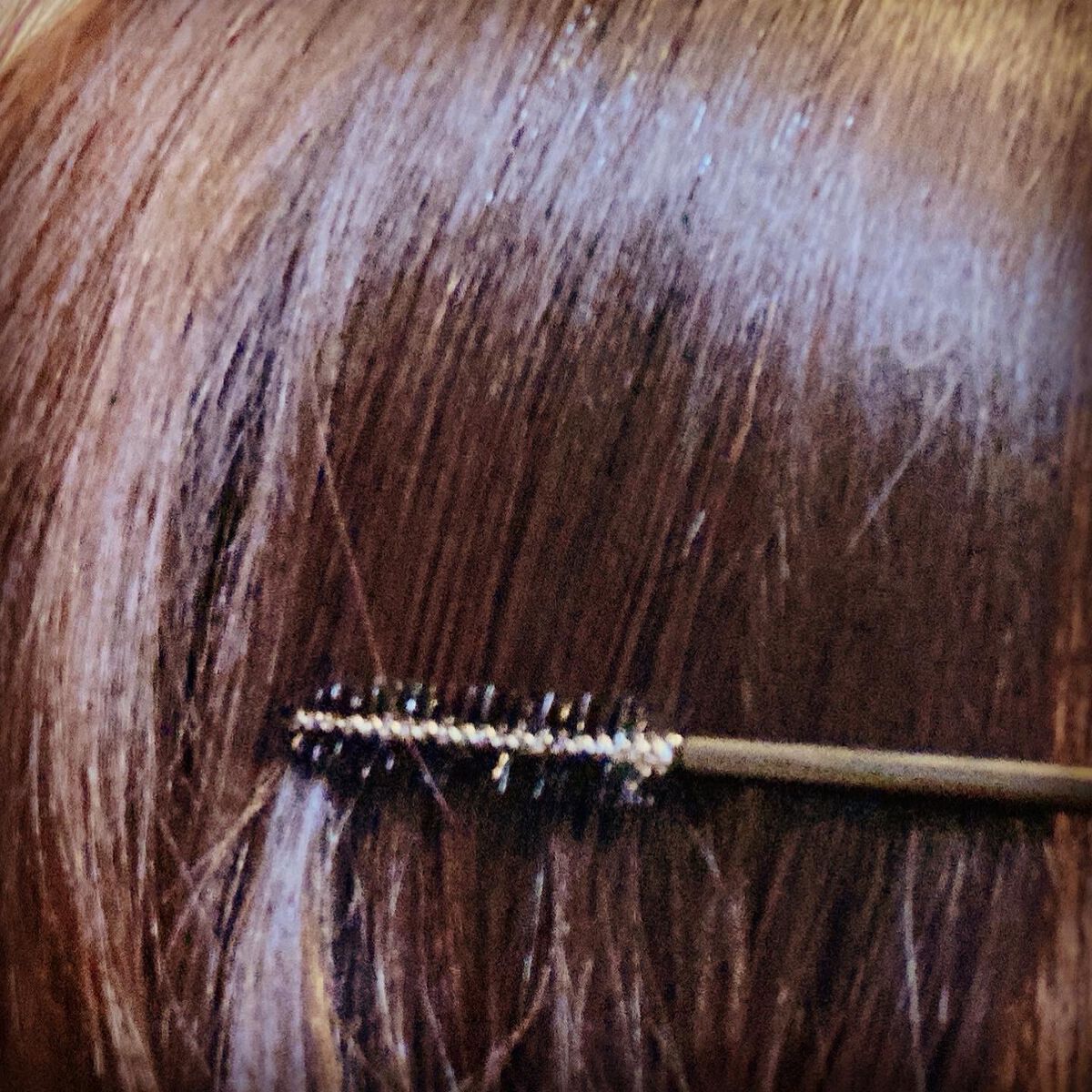 SSビオリス ボタニカル シャンプー/ヘアコンディショナー(ディープモイスト)/SSビオリス/市販シャンプーを使ったクチコミ(10枚目)