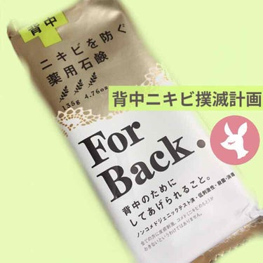 ニキビを防ぐ薬用石鹸 ForBack/ペリカン石鹸/ボディ石鹸を使ったクチコミ（1枚目）