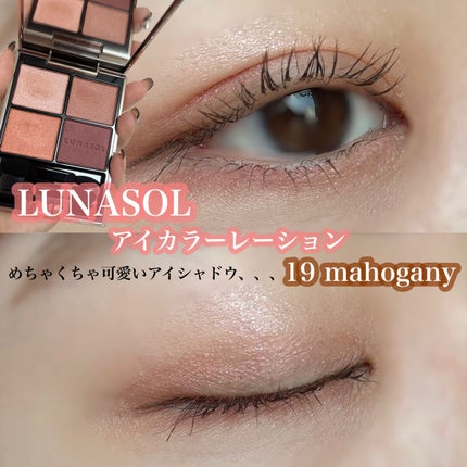 アイカラーレーション/LUNASOL/アイシャドウパレットを使ったクチコミ(1枚目)