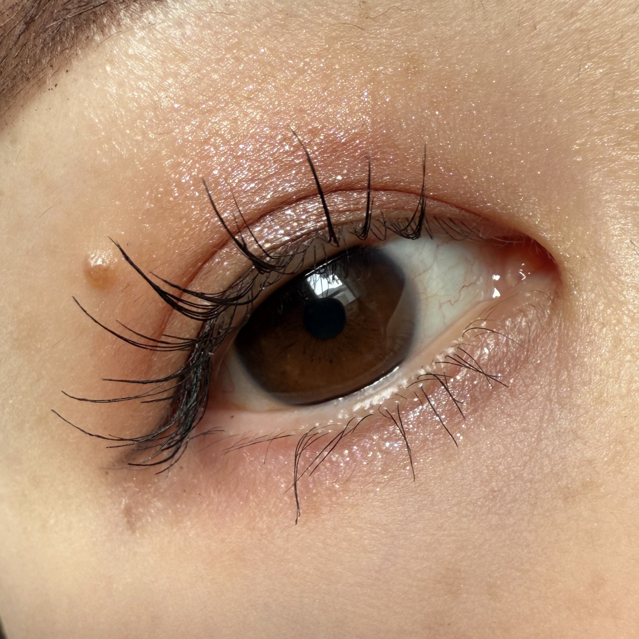 シグニチャー カラー アイズ/SUQQU/アイシャドウパレットを使ったクチコミ（2枚目）