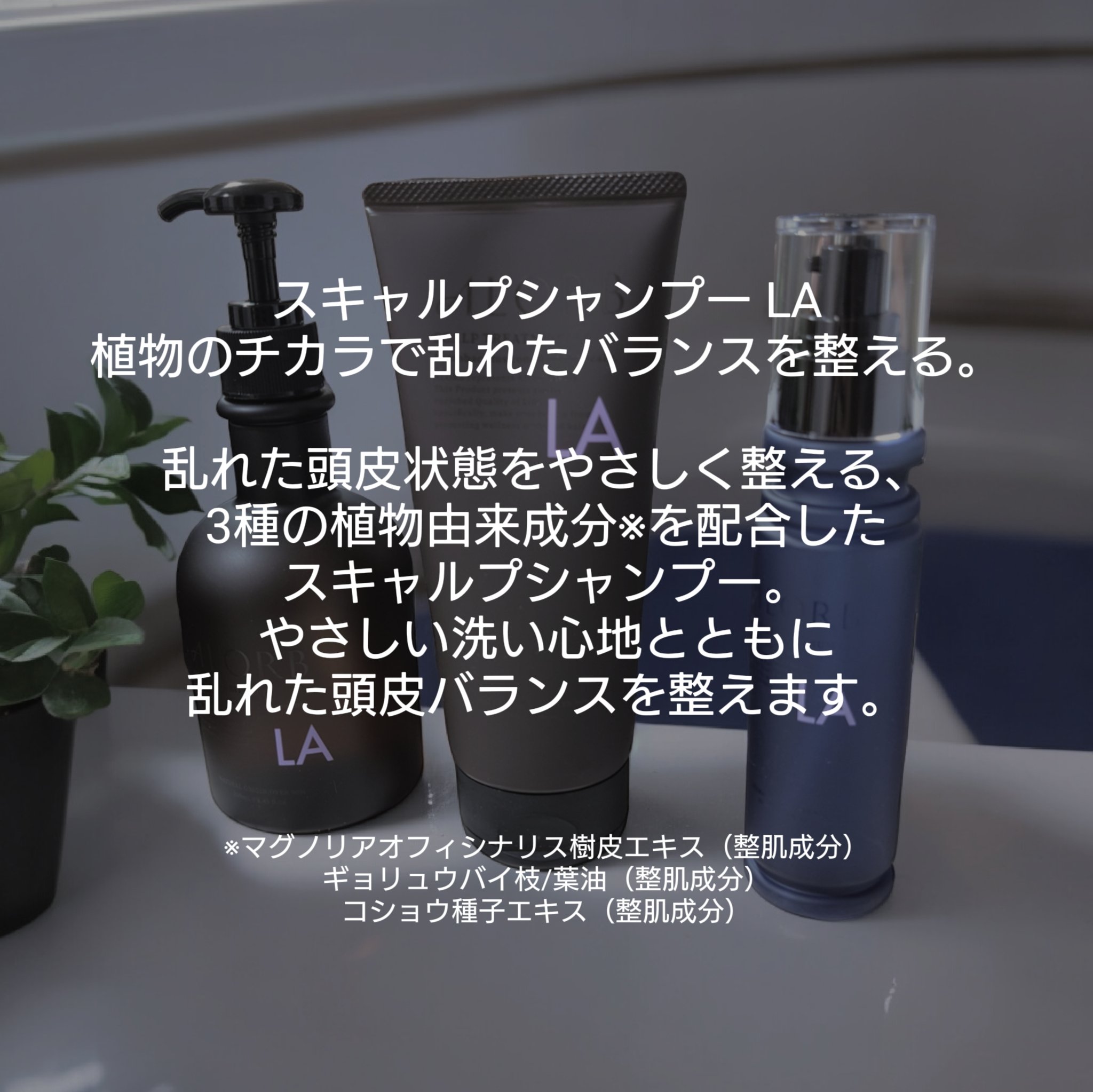 ナリッシングセラムLA/ALORB/頭皮ローションを使ったクチコミ（3枚目）