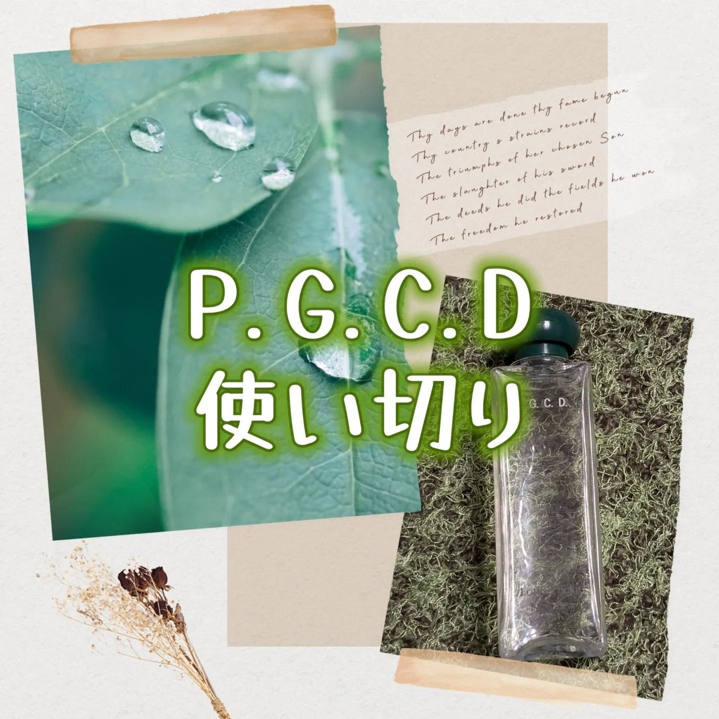 サボンクレール/P.G.C.D.(ペー・ジェー・セー・デー)/洗顔石鹸を使ったクチコミ(1枚目)