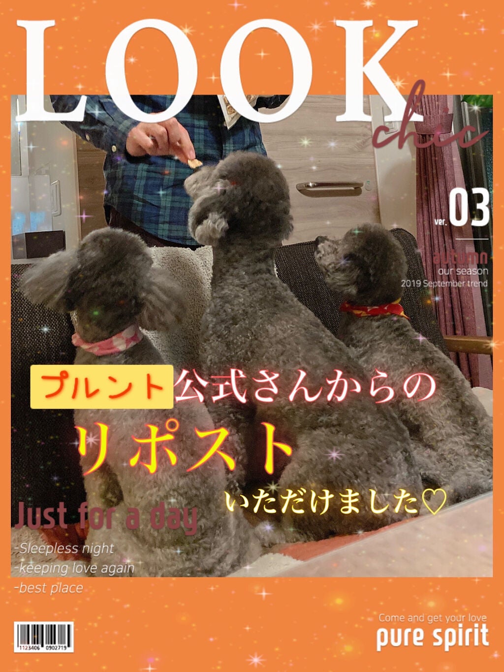 プルント ディープモイスト美容液ヘアオイル/Purunt./ヘアオイルを使ったクチコミ(1枚目)