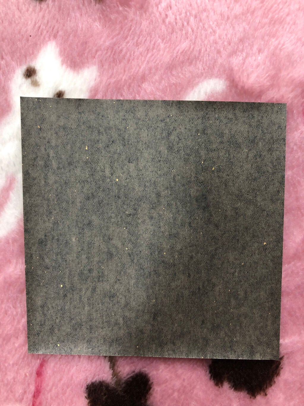 京都の金箔入り あぶらとり紙/大木工藝/あぶらとり紙を使ったクチコミ(5枚目)