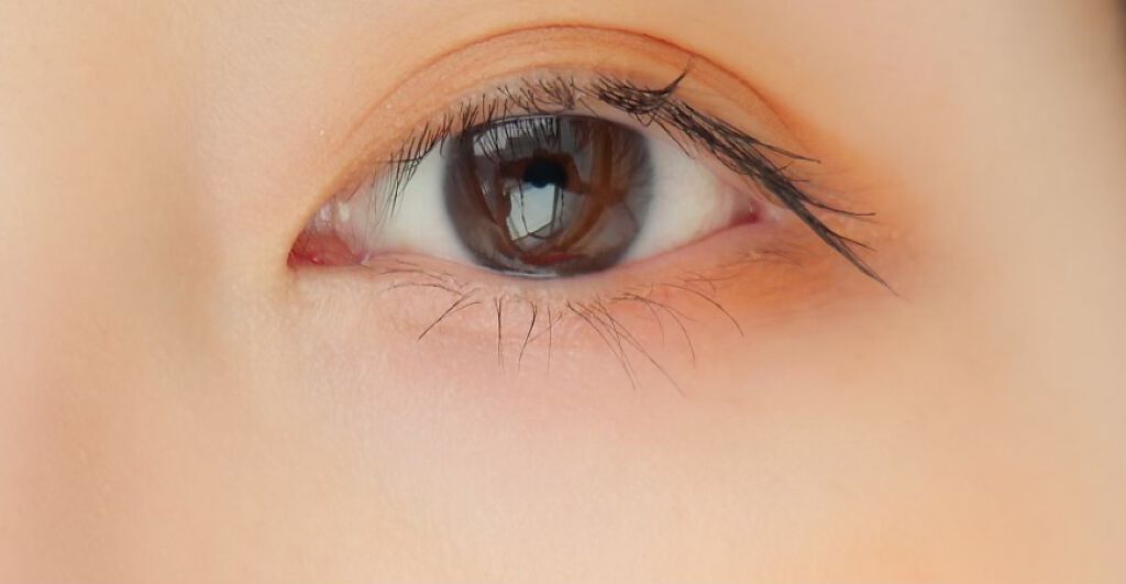 ミネラルマルチパウダー/エトヴォス/単色アイシャドウを使ったクチコミ(4枚目)