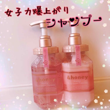 &honey Melty モイストリペア シャンプー1.0／モイストリペア ヘアトリートメント2.0/&honey/シャンプー・コンディショナーを使ったクチコミ（1枚目）