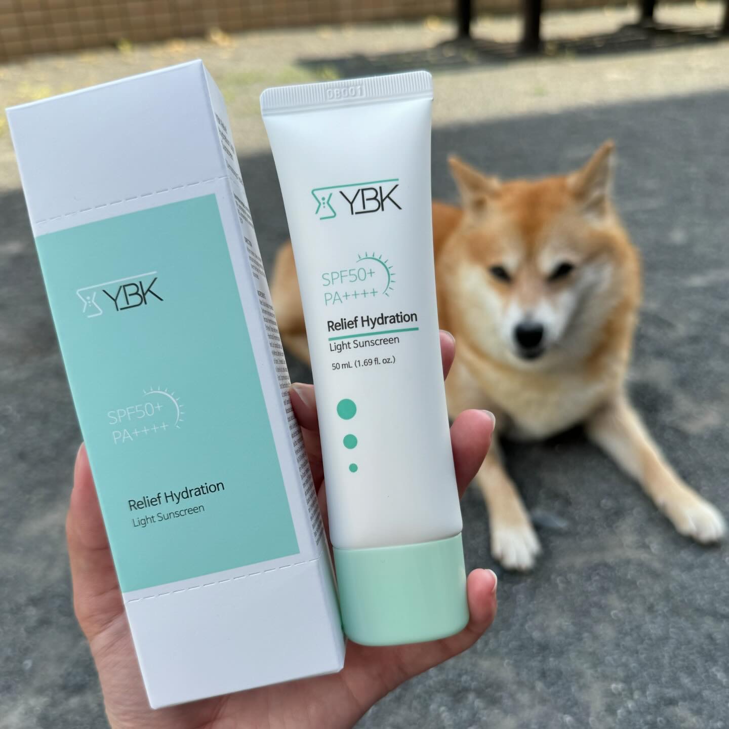 “よりクリーンに、効能を高める”というテーマのもと自然由来成分にこだわった製品を展開する韓国のスキンケアブランドYBK様から日焼け止めのご提供を頂いたので紹介するよ😊

✅CICA 日焼け止め
紫外線はもちろんブルーライトまでしっかりカッ