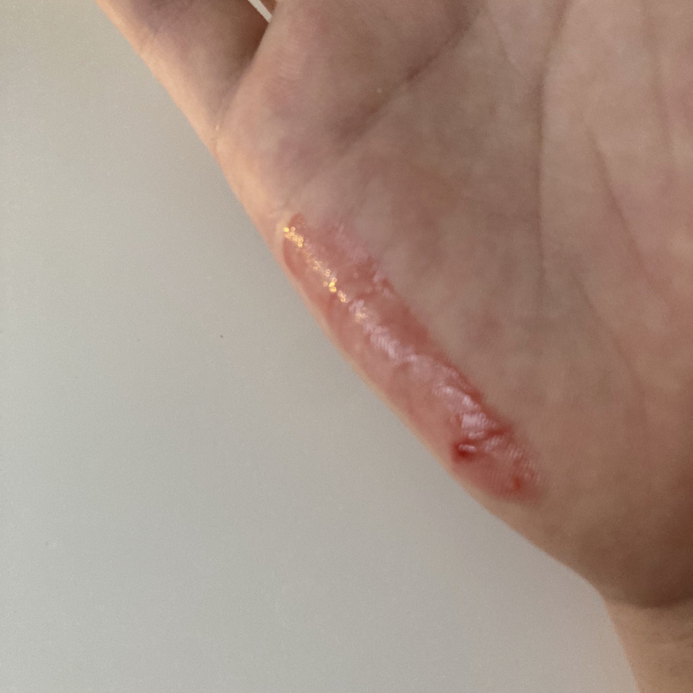 オペラ リップティント N/OPERA/リップティントを使ったクチコミ(2枚目)