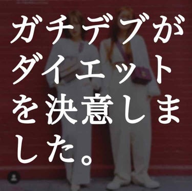 ガチデブがダイエットを決意しました。


皆さんのおっしゃる"太った"とはちょっと次元の違うレベルのデブです。


身長154cm
体重59kg

私の最高記録です。
健康面からすれば最低なのですが。
