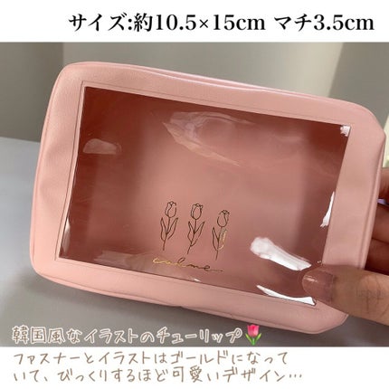 クリア窓付きポーチ/セリア/その他を使ったクチコミ(2枚目)