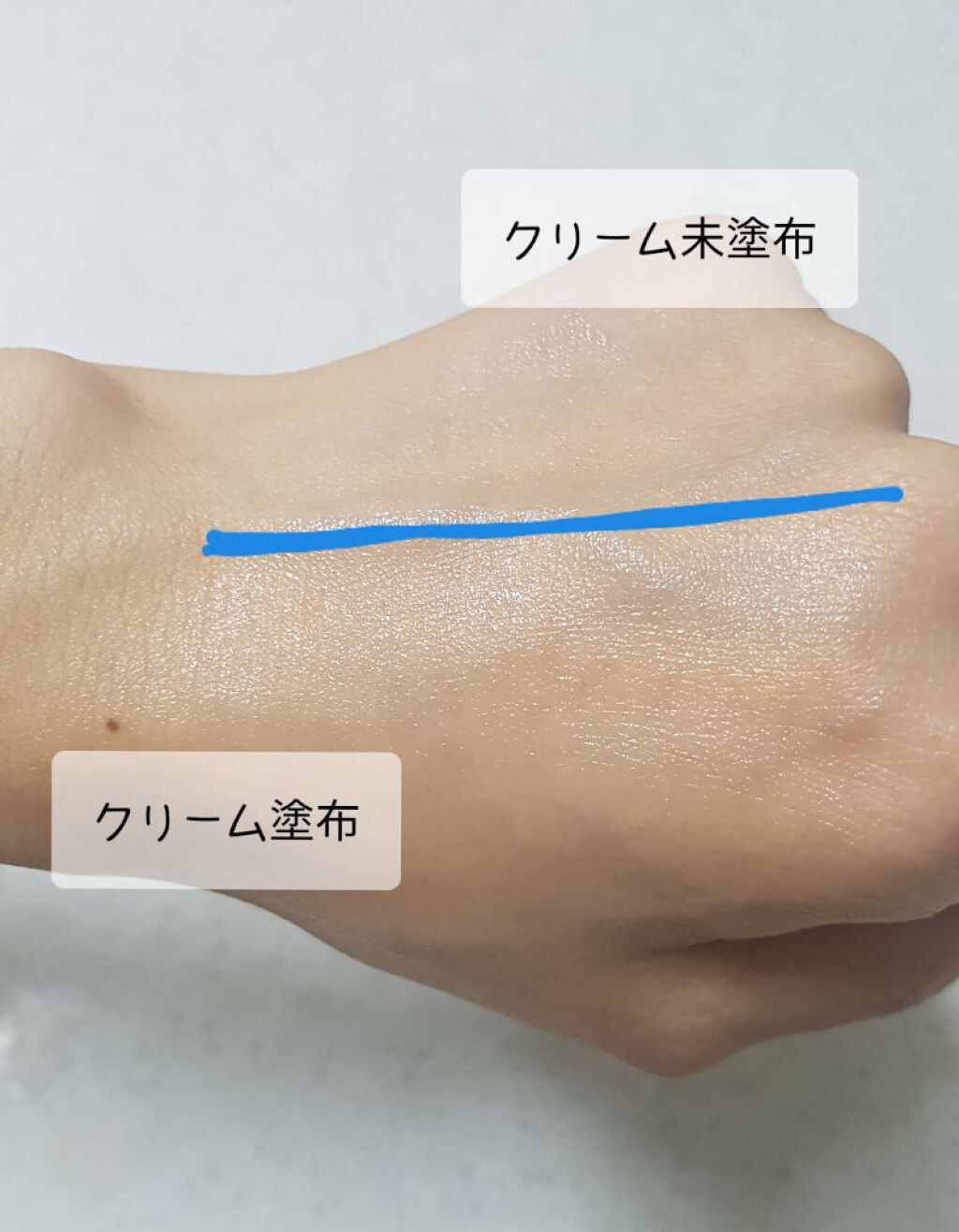 アルパインベリーウォータークリーム 50ml/primera/フェイスクリームを使ったクチコミ(5枚目)