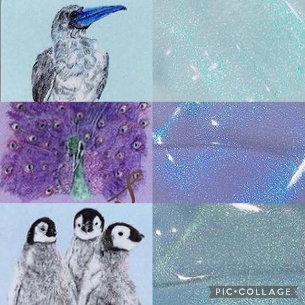 ネイルエス/ nail S(ネイルエス) /マニキュアを使ったクチコミ(3枚目)