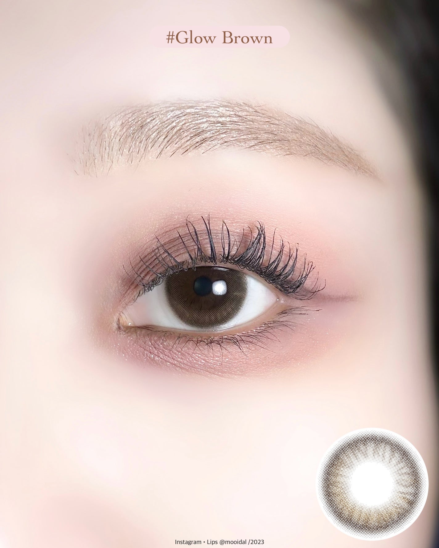 TOPARDS 1day/TOPARDS/ワンデー(1DAY)カラコンを使ったクチコミ(7枚目)