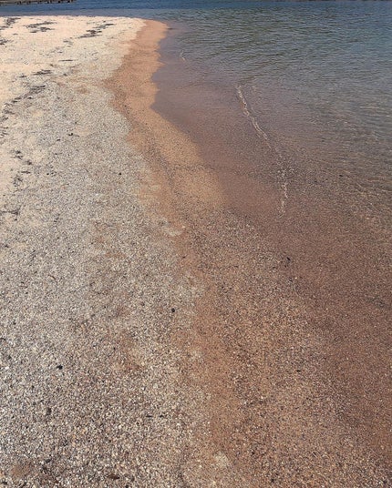 lala on LIPS 「⭐️NEW進化して登場!エリクシールの朝用乳液⭐️#お出かけし..」(7枚目)