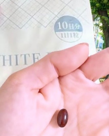 を使ったクチコミ(2枚目)