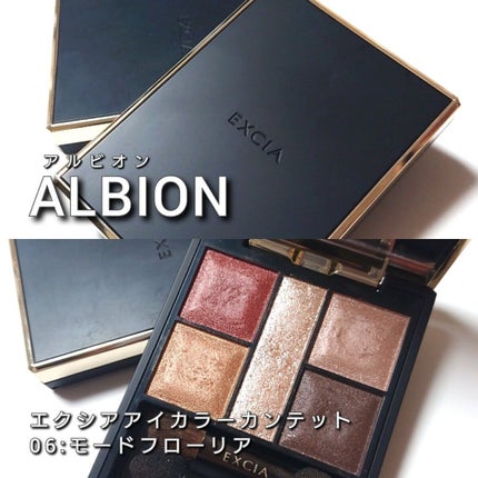 エクシア アイカラー カンテット/ALBION/アイシャドウパレットを使ったクチコミ(2枚目)