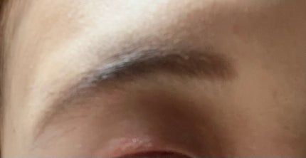 ミックスアイブロウ/キャンメイク/パウダーアイブロウを使ったクチコミ(3枚目)