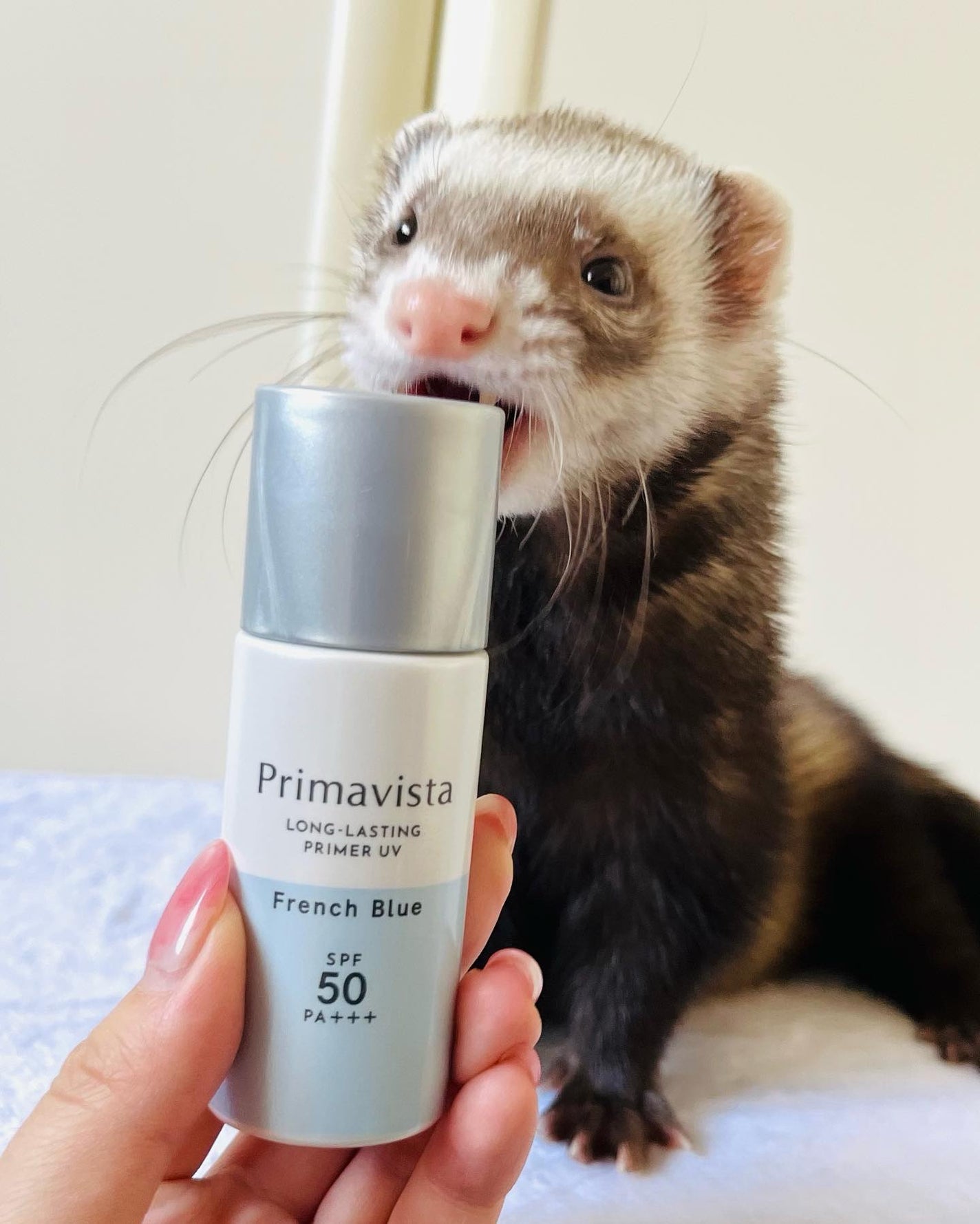 スキンプロテクトベース<皮脂くずれ防止>SPF50/プリマヴィスタ/化粧下地を使ったクチコミ(6枚目)