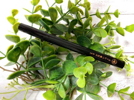 お化粧ふでぺん 目元用 毛筆極細/くれ竹 /リキッドアイライナーを使ったクチコミ(2枚目)