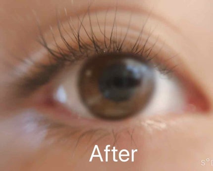 電動ホットビューラー/DAISO/ホットビューラーを使ったクチコミ(2枚目)