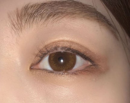 ゴージャスアイズN/LB/アイシャドウパレットを使ったクチコミ(1枚目)