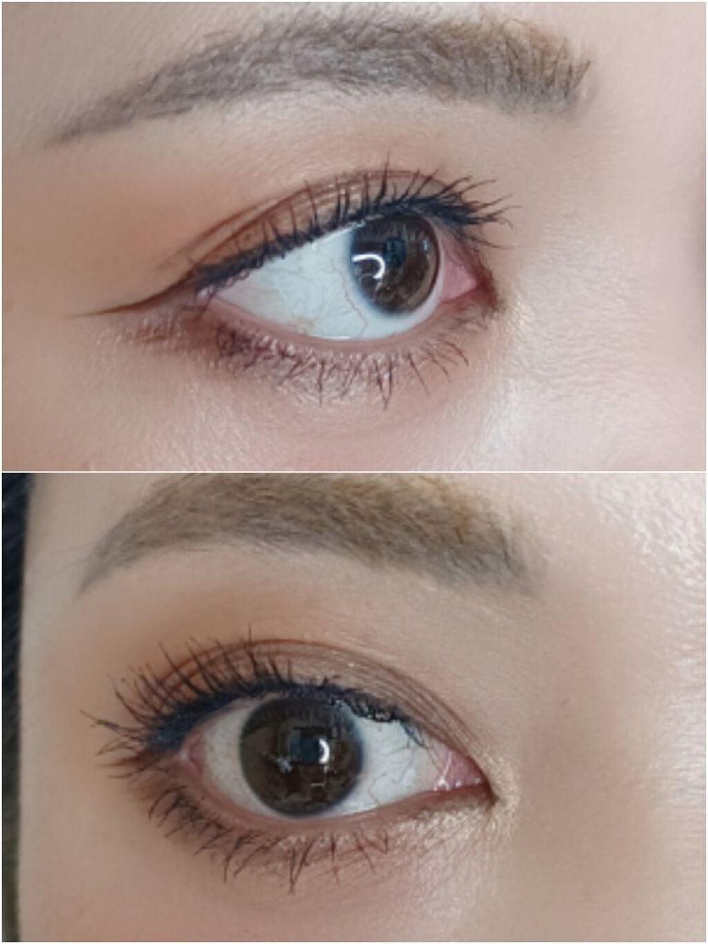 シルキースフレアイズ(マットタイプ)/キャンメイク/アイシャドウパレットを使ったクチコミ(2枚目)