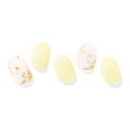 ND-248 N Marigold (summer oasis Collection)